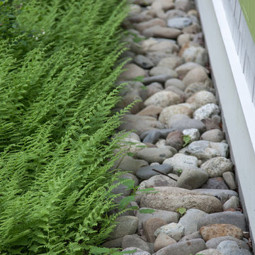 Clamshell Alley