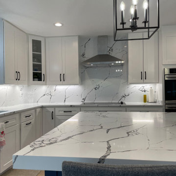 Full House Remodel in Vienna, VA