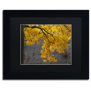 'Golden Autumn Color' Matted Framed Canvas Art by Kurt Shaffer