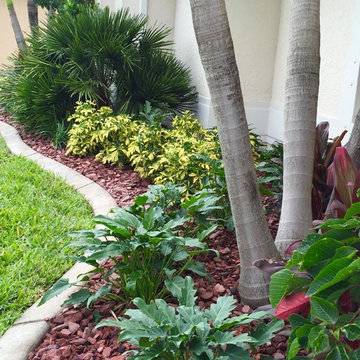 Tropical landscape spaces, All around the house.