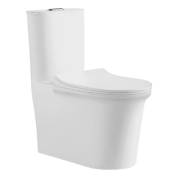 Modern European design toilets