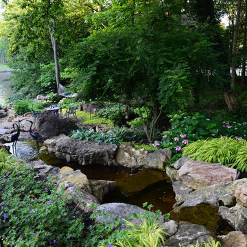 Woodland Waterfall | St. Louis, MO