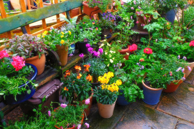 Inspiration for a garden in Kent.