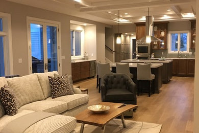 Inspiration for a mid-sized transitional formal and open concept light wood floor and beige floor living room remodel in Other with gray walls, no fireplace and no tv