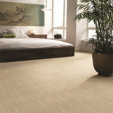 CARPET