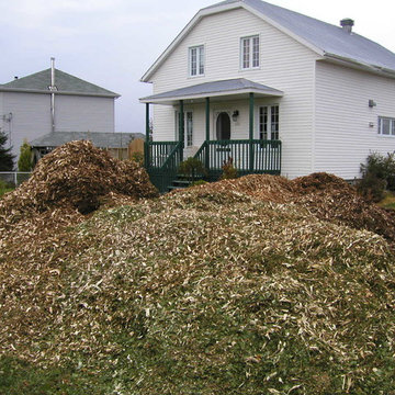 RCW Ramial Chipped Wood from Pruners Delivery