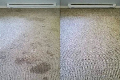 Dynamic Duo Cleaning Before and After Pictures.