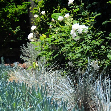 Reseda