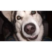 Deb Anderson's photo