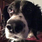 Trish Lubold's photo
