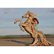 Kathi Church's photo