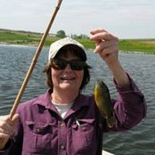 Barb Michel's photo
