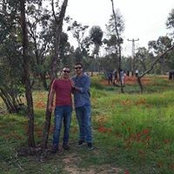 Dotan Ben Haim's photo
