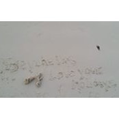 Foto de Christina Sofou