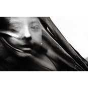 Mona Alrassi's photo