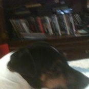 Ashley Lampley's photo