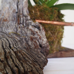 Living Sculptures - Products
