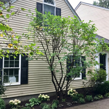 Front foundation garden