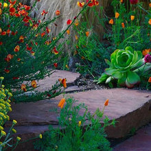 Plants I Like