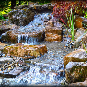 Koi Pond and Waterfall by Full Service Aquatics. Project site Cranford, NJ.