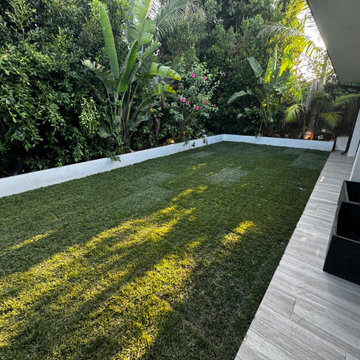 After Picture