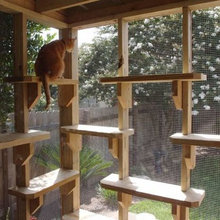 Animal Rescue/gardens/shop/community Resting Building