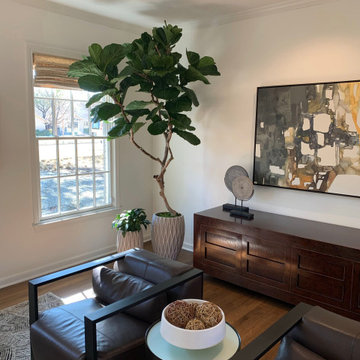 Custom Fiddle Leaf Fig Tree in Dallas Home