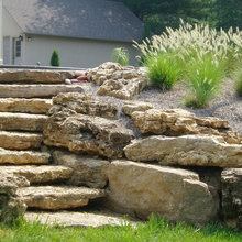 Backyard Landscape