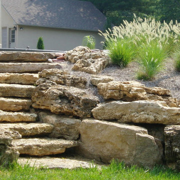 Backyard Landscaping