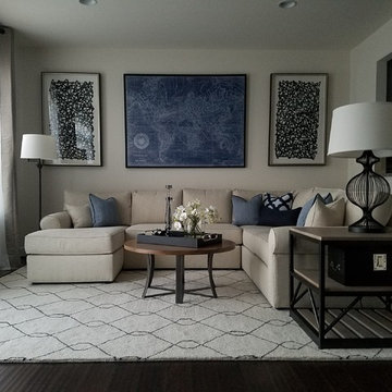 "Edgy" & Monochromatic Living Spaces- Manassas, VA