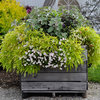 This Pro Tip Will Save You Money on Your Container Garden