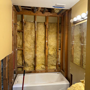 Water damage - Bathroom renovation