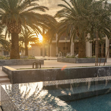 Mid-East Modern