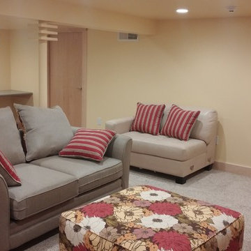 Brookfield Basement