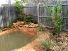 POLL: My backyard reminds me of a Share a photo of your backyard in