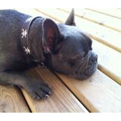 Susan Sidhu's photo