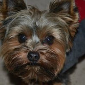 Melissa Cutright's photo