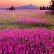 Dottie Newman's photo