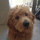 randy_endemann