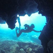 Amanda Lynn's photo