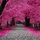 arahilien_lock