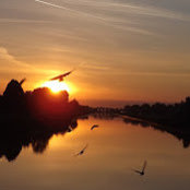Tammy Hewitt's photo