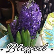 Kari Shockley's photo