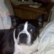 Debbie Ringgold's photo