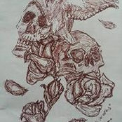 Joey Disser's photo