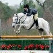 Emily Wheeler's photo