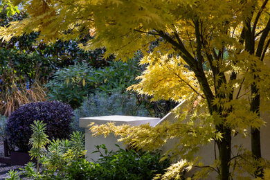 Inspiration for a contemporary front garden in London.
