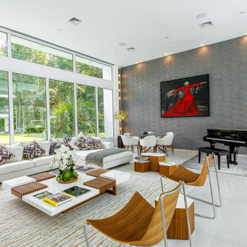 New Modern Living Room, FL