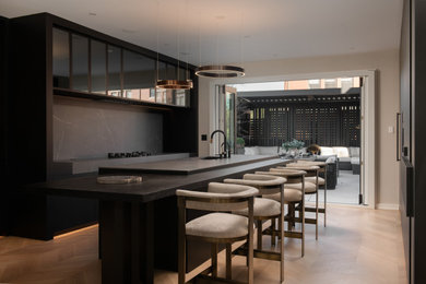 Elegant Dark Modern Kitchen