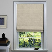 violingal4's window treatments